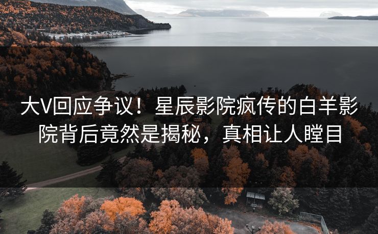 大V回应争议！星辰影院疯传的白羊影院背后竟然是揭秘，真相让人瞠目
