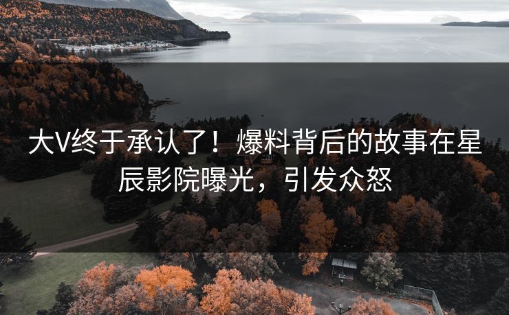 大V终于承认了！爆料背后的故事在星辰影院曝光，引发众怒